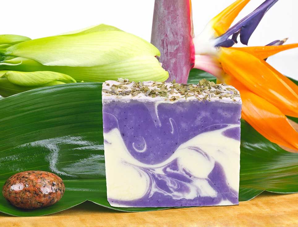 naturseife-eisenkraut-lavendel-zitronig-frisch-vegan-ohne-tierversuche-pflegend-stimmungsbildzGj7mt3kuplzR