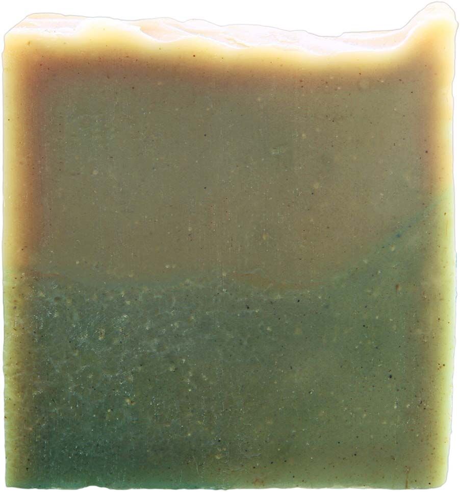 naturseife-waschnuss-shampoos-mild-frisch-vegan-ohne-tierversuche-pflegend Naturseife Waschnuss
