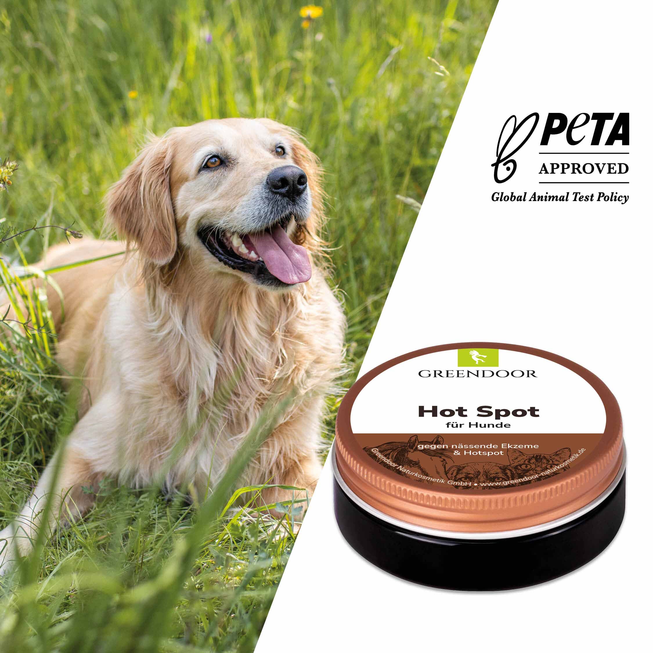 Hot Spot Balsam für Hunde Hot Spot Balsam für Hunde